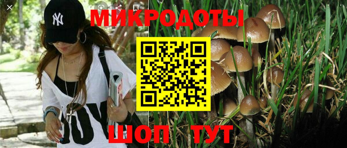 Псилоцибиновые грибы Psilocybine cubensis Пыть-Ях